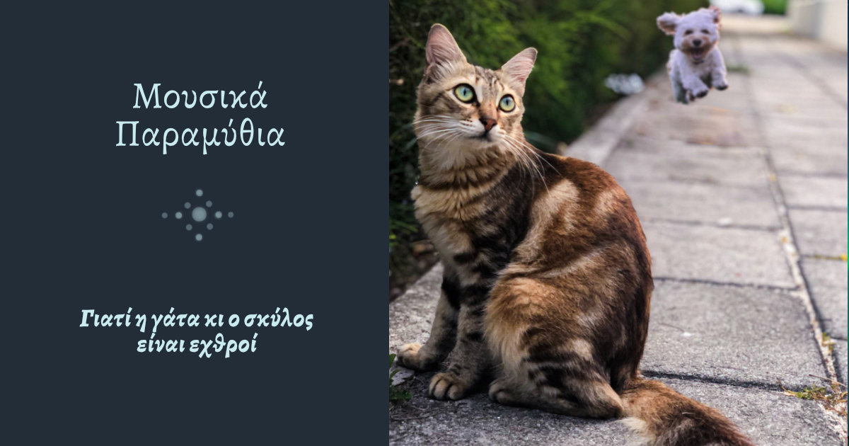 Γιατί η γάτα κι ο σκύλος είναι εχθροί